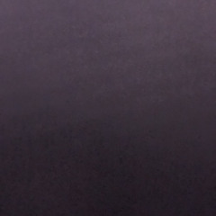 jerseyclub