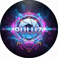 Puluz