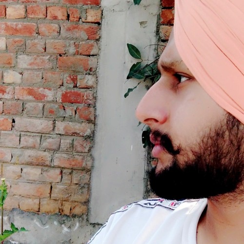 Fire Fur - Arjan Dhillon