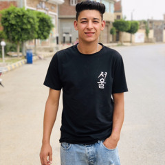 Hassan Elshaboury