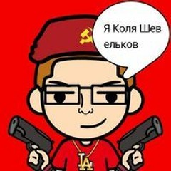 Николай Шевельков