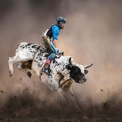 love my life and have fun