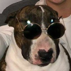 DJ Taz