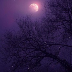 Purple_haze