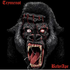 TrymenotBabyApe