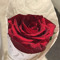 ابولمى