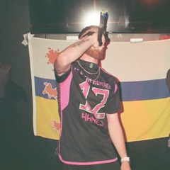 HannesDeBoswachter