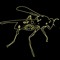 Muddwasp