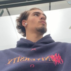 Elvizoo_X