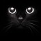 black cat 🐈‍⬛