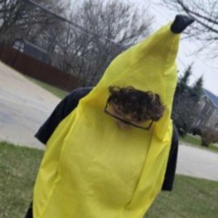 A.J The Assassin