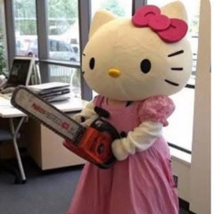 kitty bic gầm