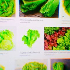 lettuce lettuce