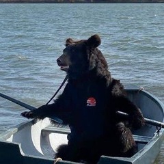 Boating With Bear