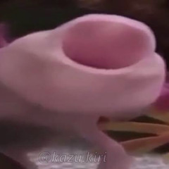 Axolotl of truth
