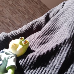 toadowner*333