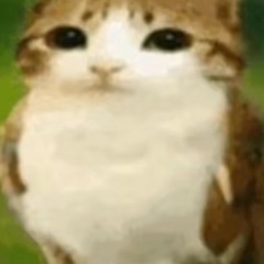 cuteswagwolf28