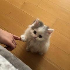 Let'sLookForANewExit