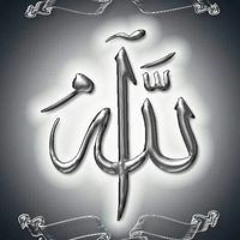 Tarek Gamal