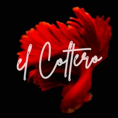 Coltero