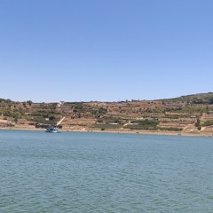 Mnjd Naser