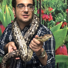 ‫علی اصغر رضایی‬‎