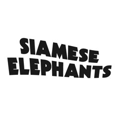 Siamese Elephants