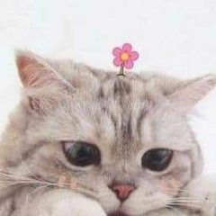 ပန်းအိ ဖြူ