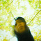 HekA