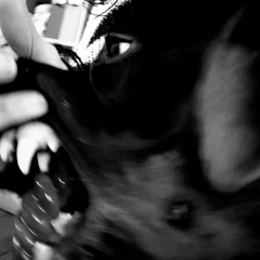 livesufferdie