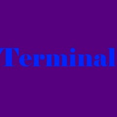 Terminal Teasers