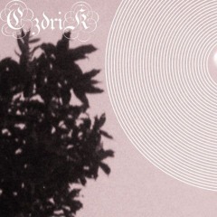 CR1TT3R DNB