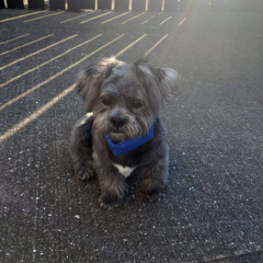 Aiden 😶‍🌫️🎧