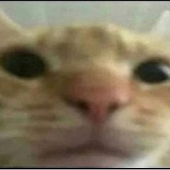 Hadri1