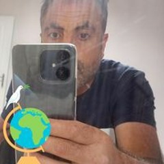 Temur Mete