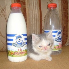 Nikola Tesla (MAMA RUSSIA)