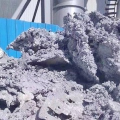 Pupils Like Small Plates