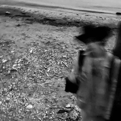 leonardo si è perso