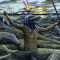Sobek dTk