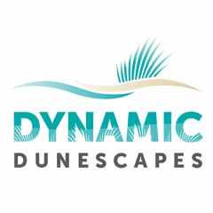 Dynamic Dunescapes