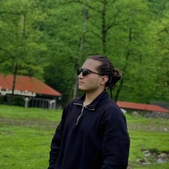 amirmohammad hoseini