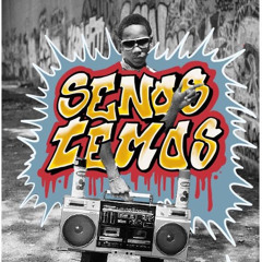 Senos Temos