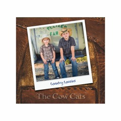 The Cowcats, Whistlewit and Robot Raven