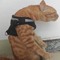 Katzenfutter