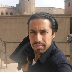 Amr Sayed