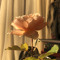 Edie_C07