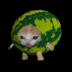 Wassermelone Katze