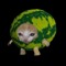 Wassermelone Katze