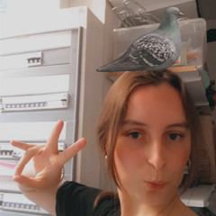 gomar