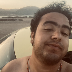 Omar Elsholkamy